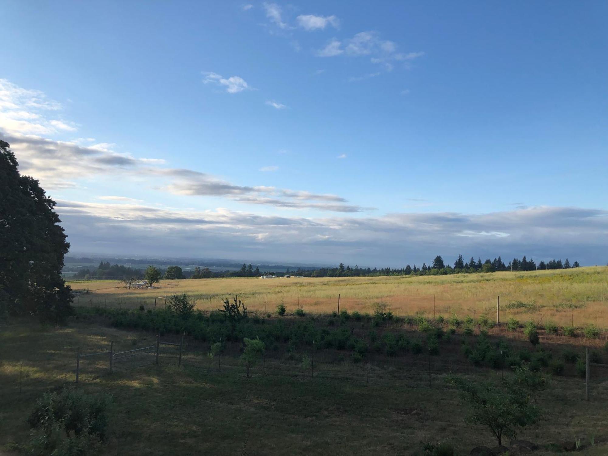 2 Bedroom Suite: Views, Private Entrance, Evchgr Amity Esterno foto